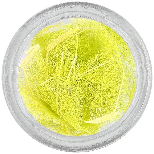 Frunze uscate galbene deschis